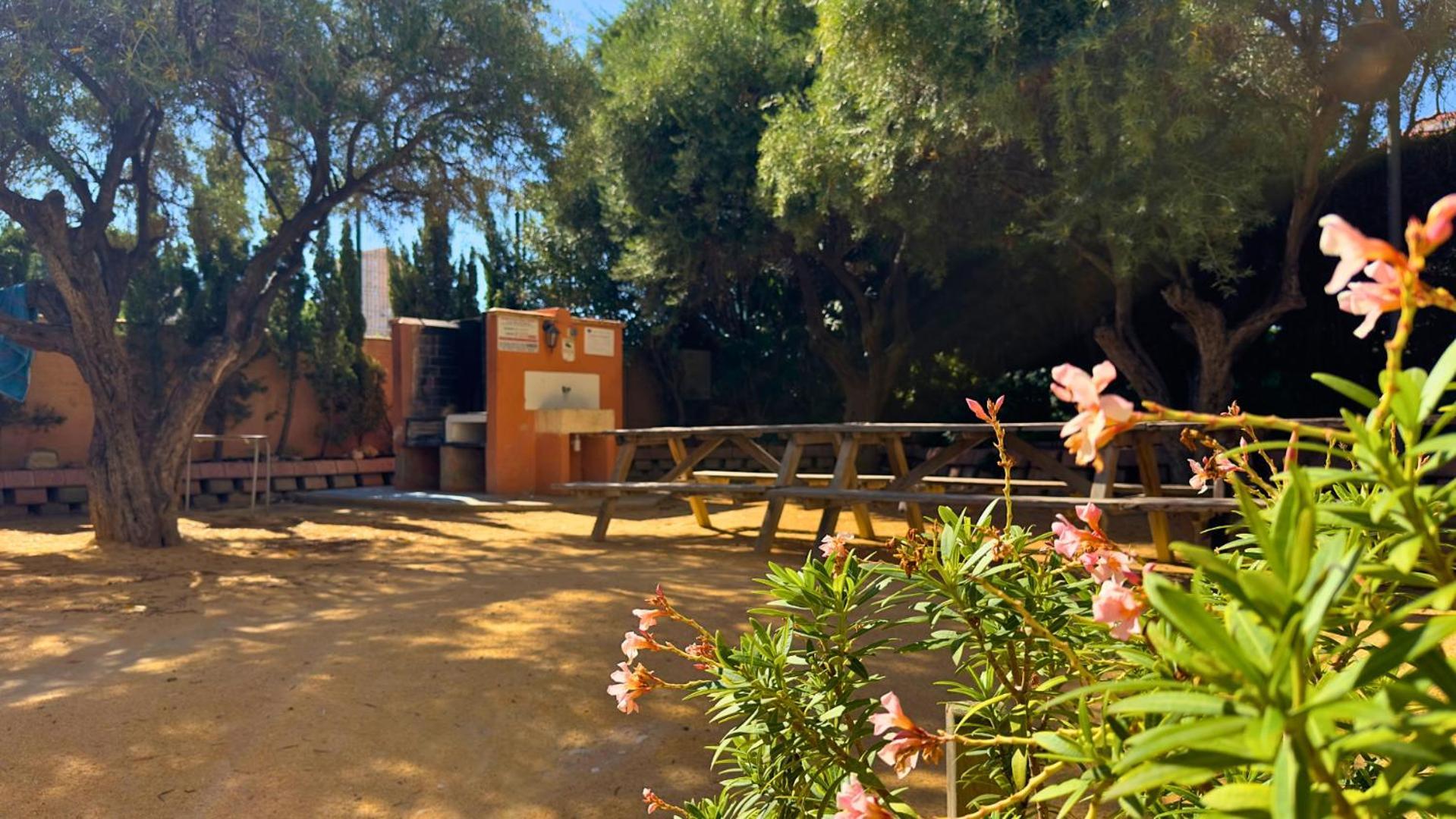 Ferienwohnung Atico A 50M Del Mar. Parking Gratis. A/C El Campello Exterior foto